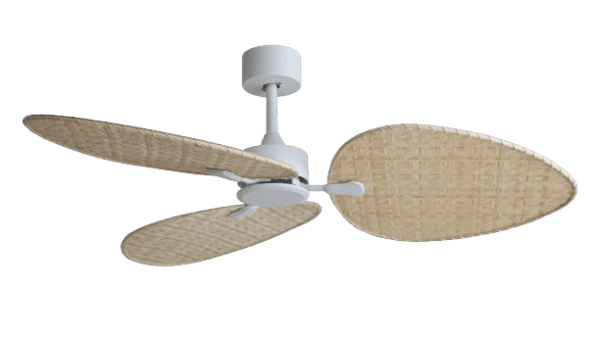 גוף לבן כנף טבעי