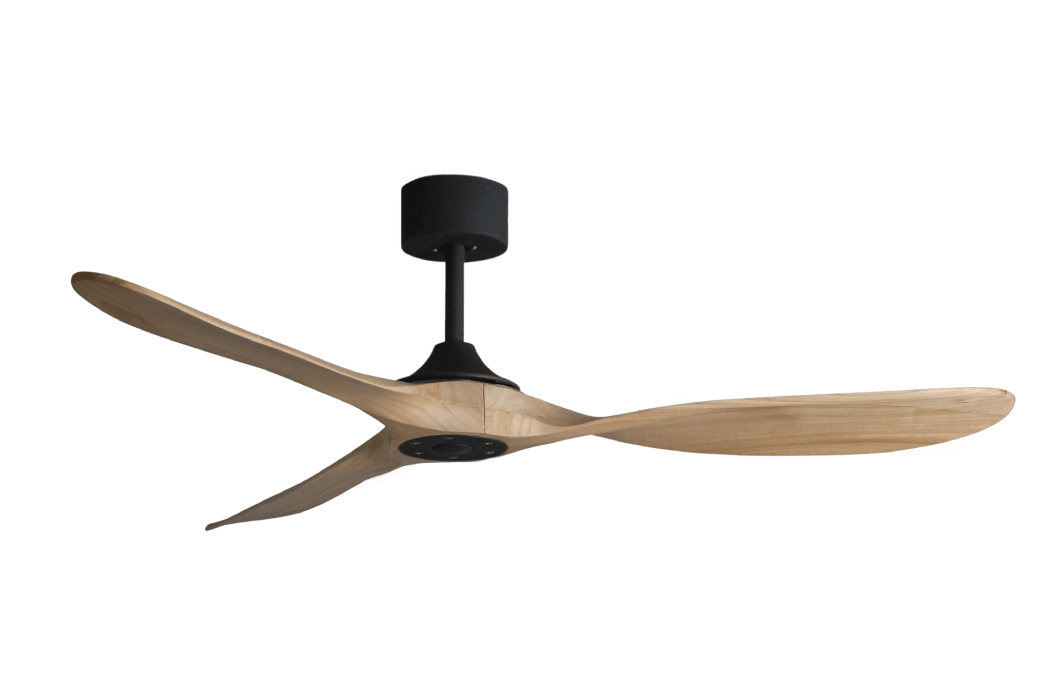 PAPAGAYO NATURAL Black