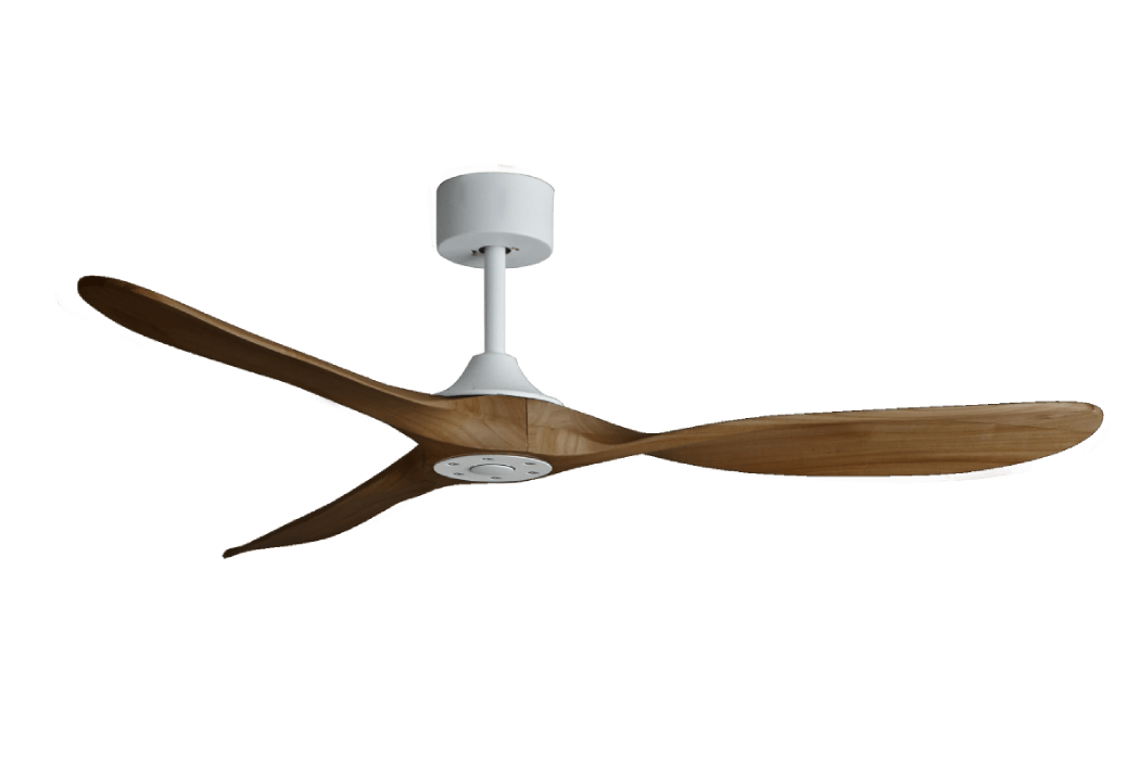 Papagayo White Body Walnut
