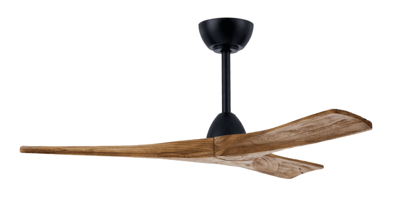 SELESTE CLEAR WALNUT
