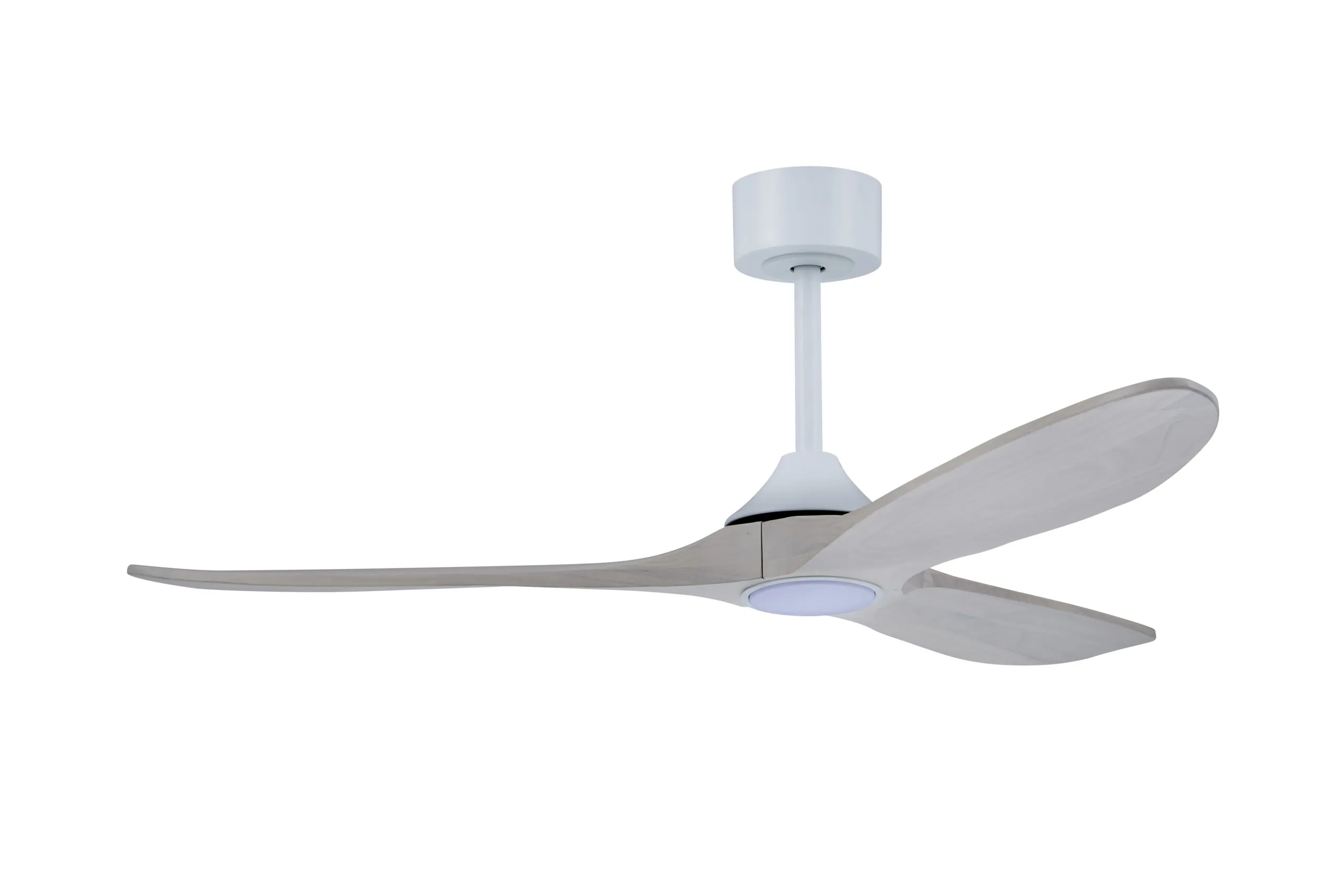 APOLO CLEAR WHITE + L